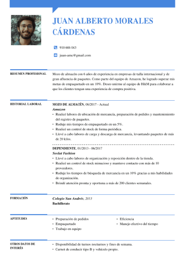 Plantilla de currículum básico 3