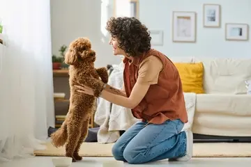 Currículum de cuidador de mascotas: ejemplo y guía