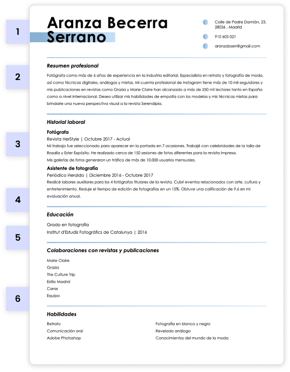 Partes de un curriculum vitae