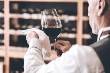 Guía con ejemplo de currículum de enólogo para 2025