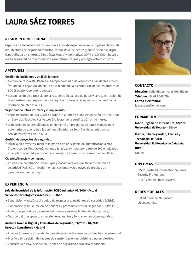 Plantilla de CV mixto enmarcada con tonos grises con líneas separatorias