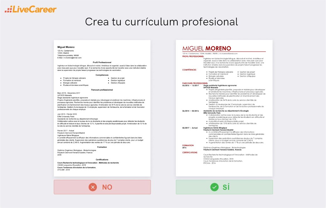 CV en Francés: Ejemplos de Currículum en Francés
