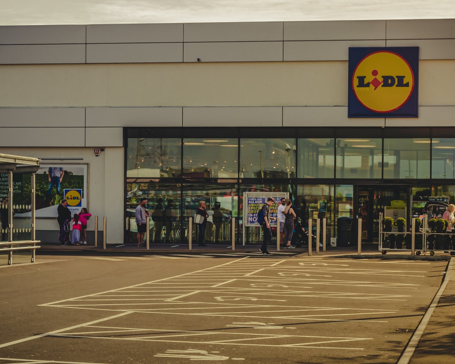 Enviar tu Currículum a Lidl: Paso en 2024 y Ejemplos