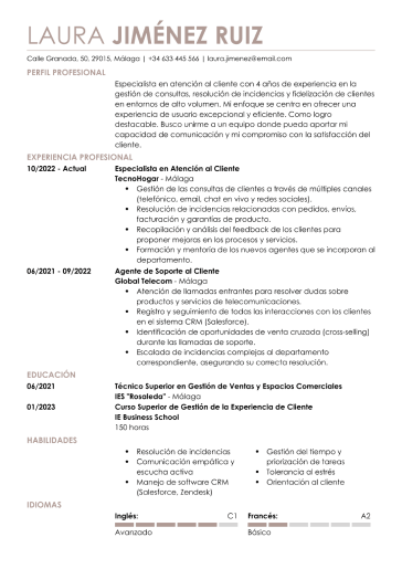 Plantilla de currículum profesional 3