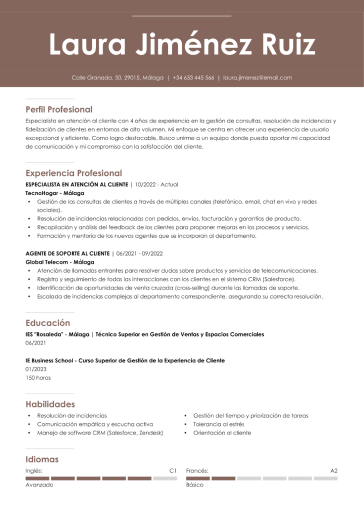 Plantilla de currículum profesional 4