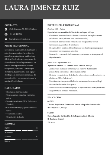Plantilla de currículum profesional 5