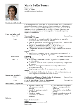 Formato clasico hoja de vida 2