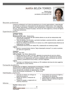 Formato clasico hoja de vida 4