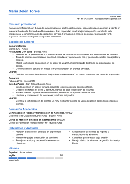 Formato clasico hoja de vida 6