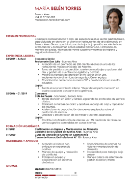 Formato clasico hoja de vida 7