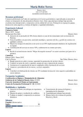 Formato clasico hoja de vida 8