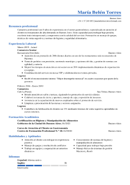 Formato clasico hoja de vida 1