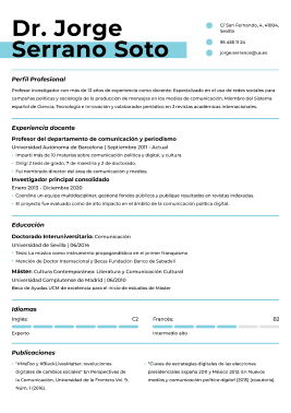 Formato moderno hoja de vida 4