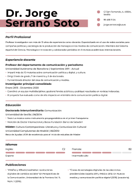 Formato moderno hoja de vida 6