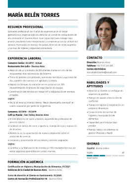 Formato para hoja de vida profesional