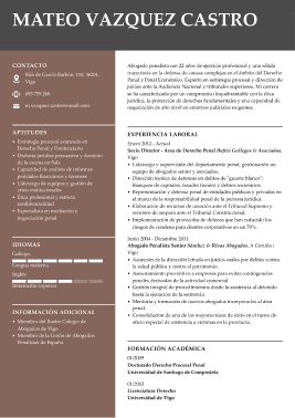 Formato profesional hoja de vida 2