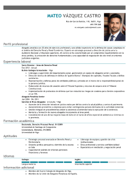 Formato profesional hoja de vida 3