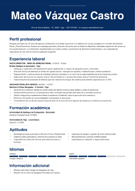  Formato profesional hoja de vida 4