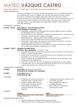 Formato profesional hoja de vida 5