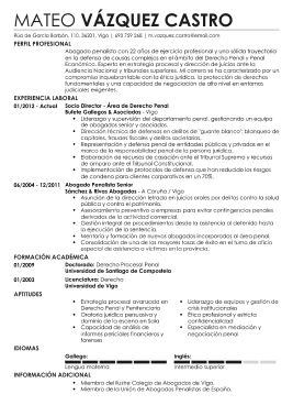 Formato profesional hoja de vida 6
