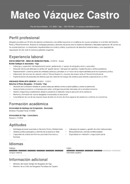 Formato profesional hoja de vida 7