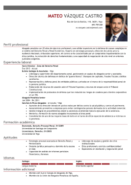 Formato profesional hoja de vida 8