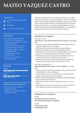 Formato profesional hoja de vida 1