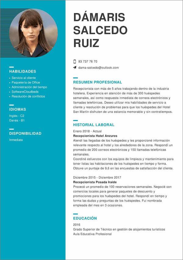 20 Ideas para un Curriculum Vitae Más Profesional