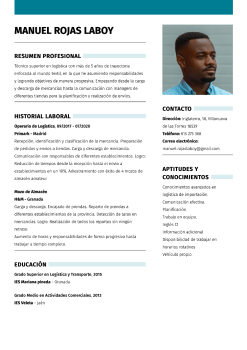 Currículum para técnico en Logística