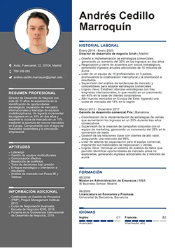 Currículum para Director de Desarrollo de Negocios