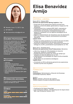 Currículum para Director de Operaciones