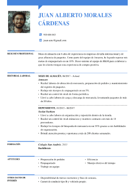 Plantilla de currículum clásica