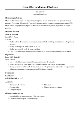 Plantillas de currículum básicas 2