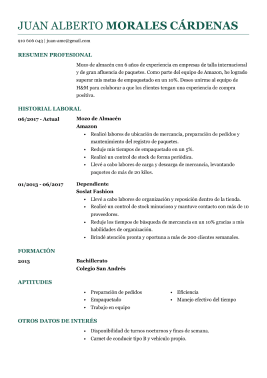 Plantillas de currículum básicas 3