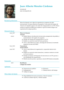 Plantillas de currículum básicas 4