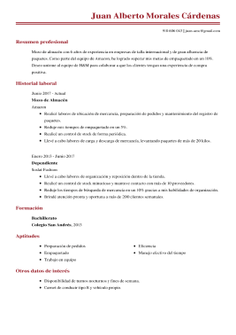 Plantillas de currículum básicas 7