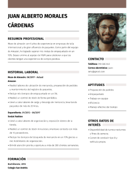 Plantillas de currículum básicas 8