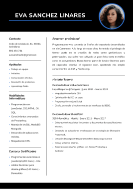 Plantillas de currículum modernas 2