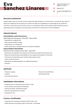 Plantillas de currículum modernas 5