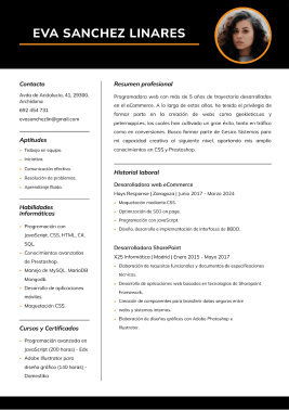 Plantillas de currículum modernas 7