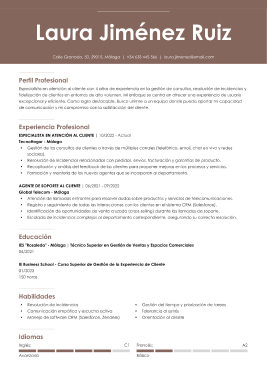Plantilla de CV profesional