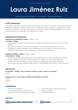 Plantillas de currículum profesionales 2