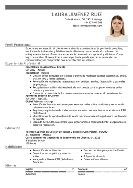 Plantillas de currículum profesionales 4