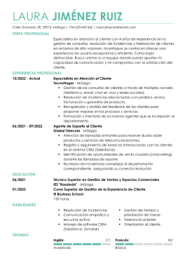 Plantillas de currículum profesionales 6