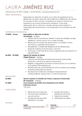 Plantillas de currículum profesionales 8