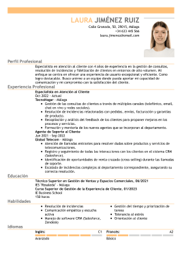 Plantillas de currículum profesionales 1