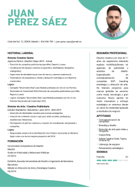 Plantillas de currículum originales 2