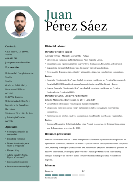 Plantillas de currículum originales 5