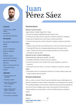 Plantillas de currículum originales 7