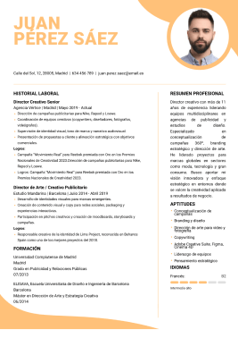 Plantillas de currículum originales 1